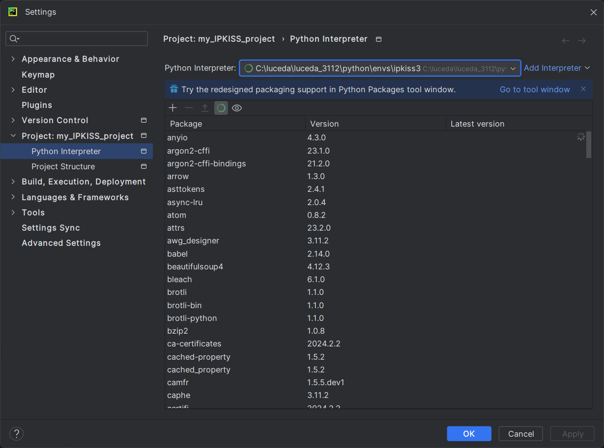 New Python interpreter page: select 'Interpreter'.